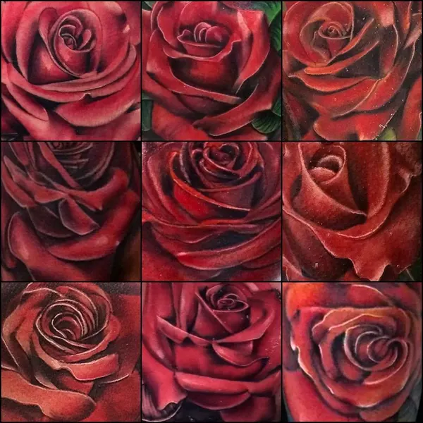 Flower, Rose