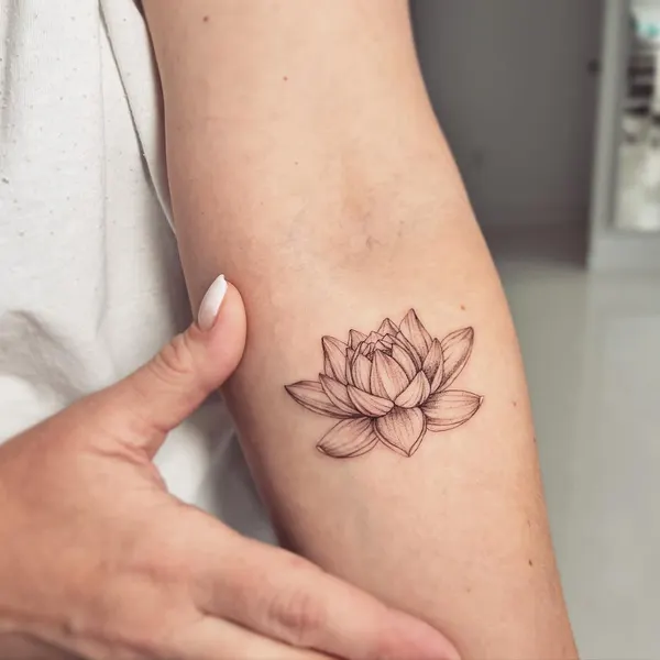 Flower, 멘디, 모란, 목련, 백합, 연꽃, 수선화, 탄생화, 연꽃 문양, 한국 연꽃, 연꽃 만다라, 국화, 일본 단풍