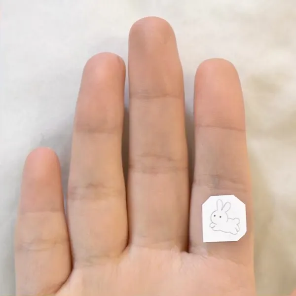 Mini, 여행 타투, 지도