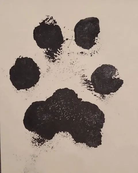 보석
