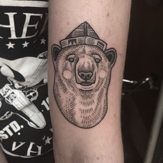 Animal, Tiger, 곰, 코알라