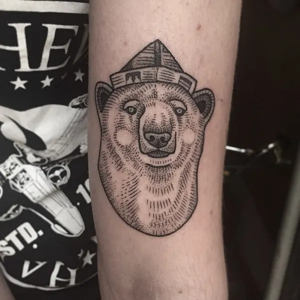 Animal, Tiger, 곰, 코알라