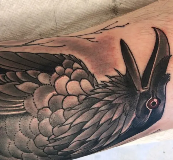 Animal