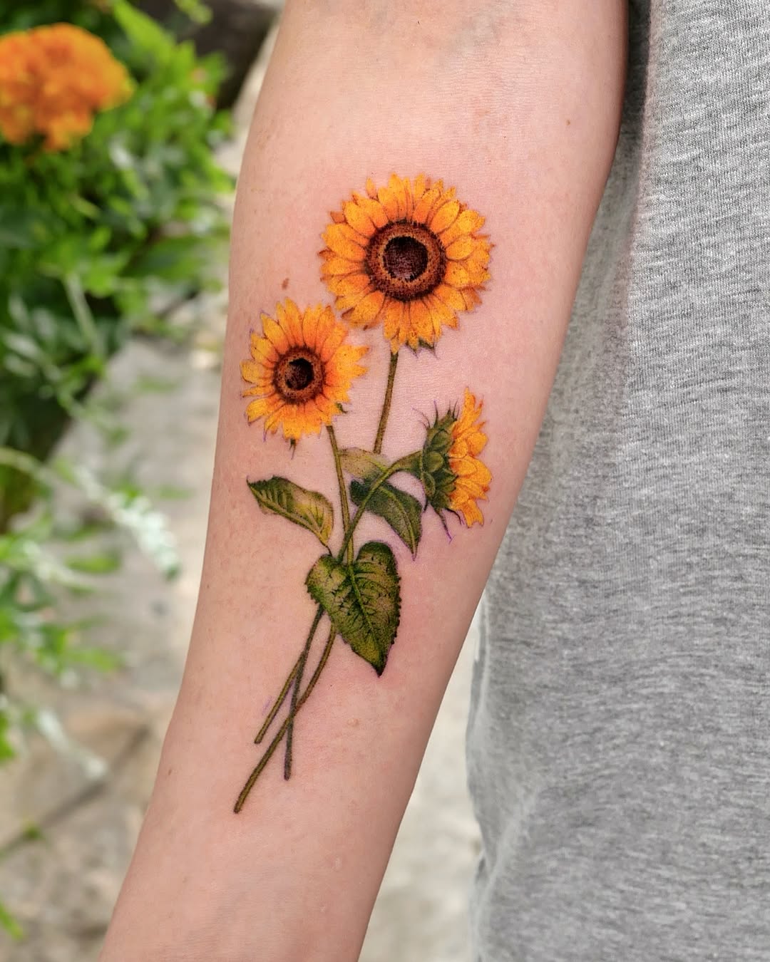 Flower, 해바라기, 데이지