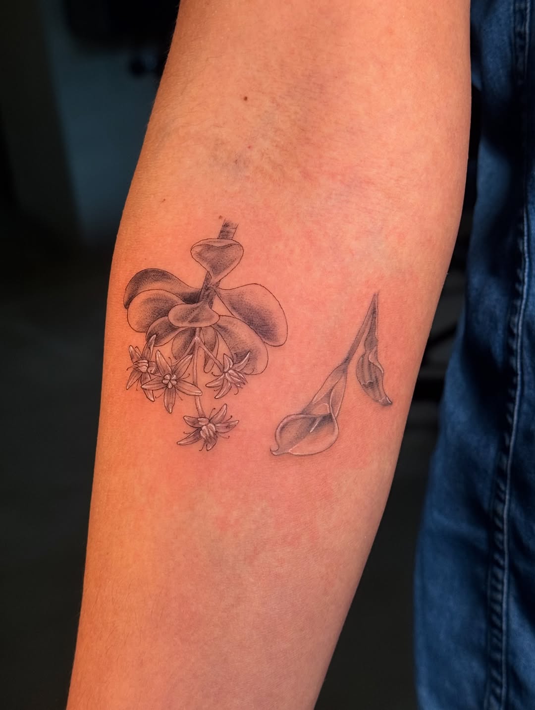 tatsbyjenni