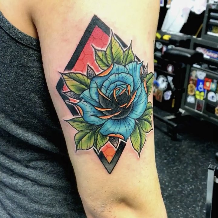 Flower, Rose, Nature