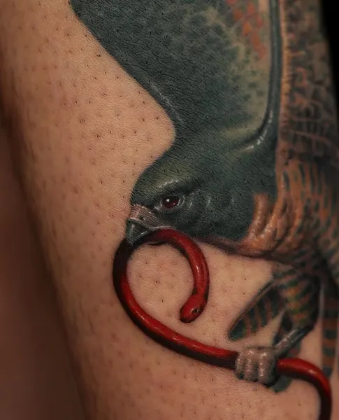 매, Animal, 그리핀