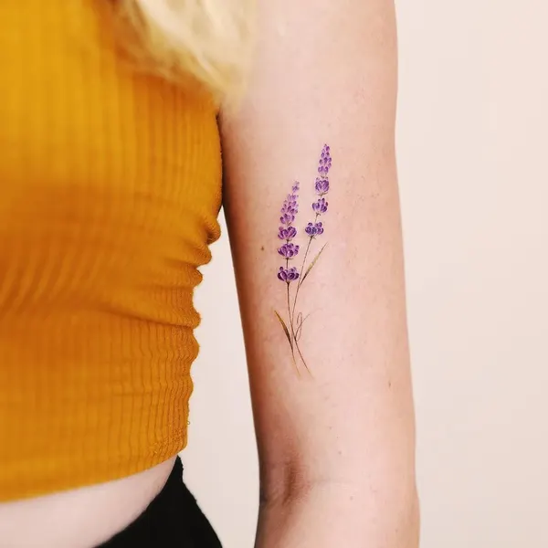 Flower, Lettering, 라벤더