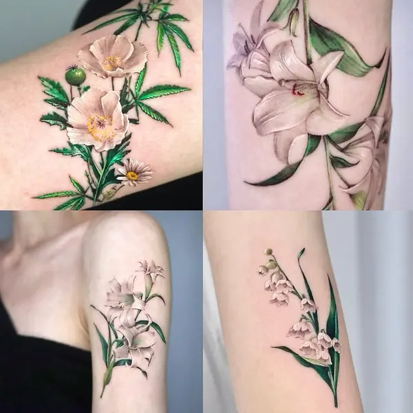 Flower, Rose
