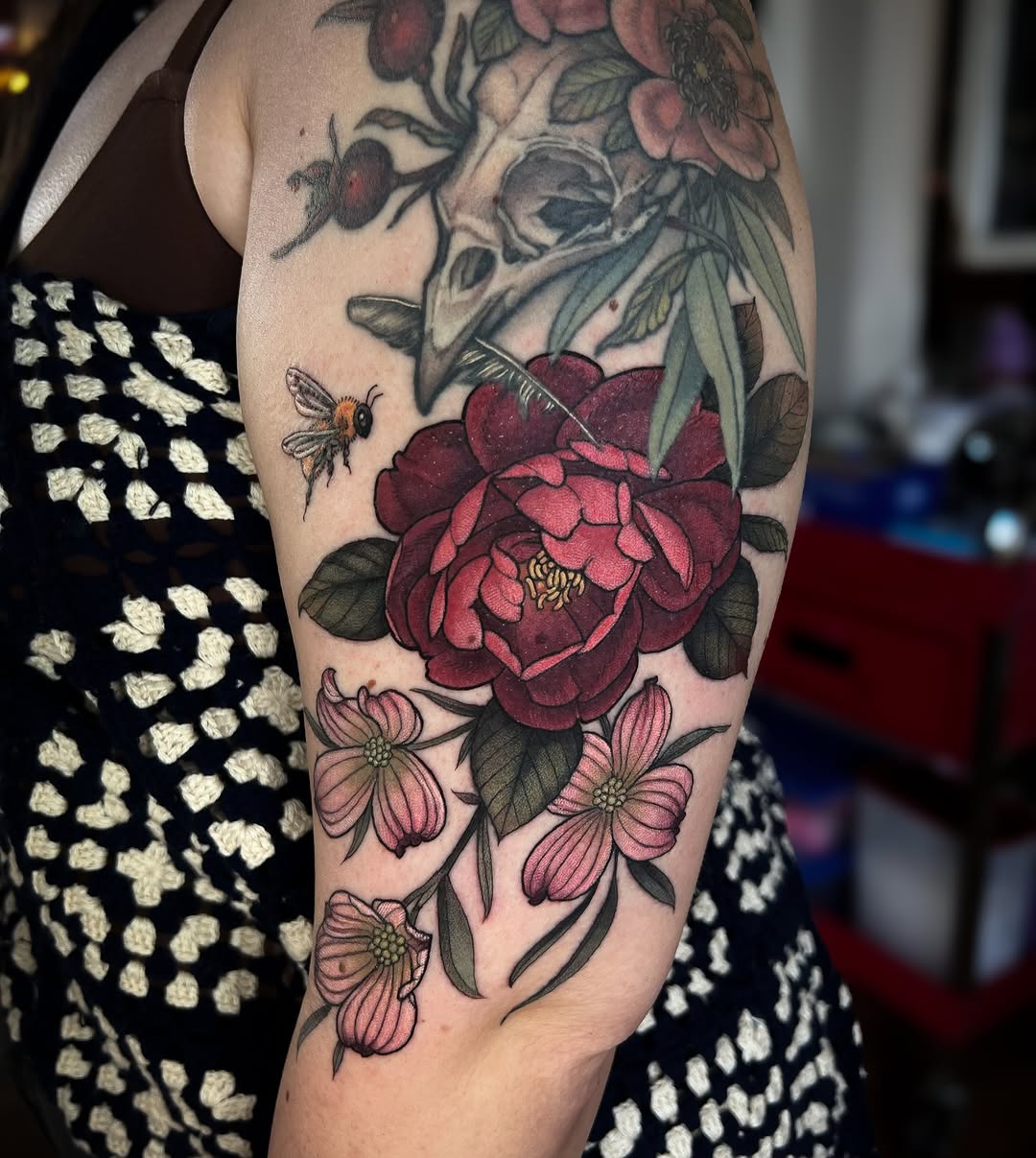 Flower, Rose, Nature