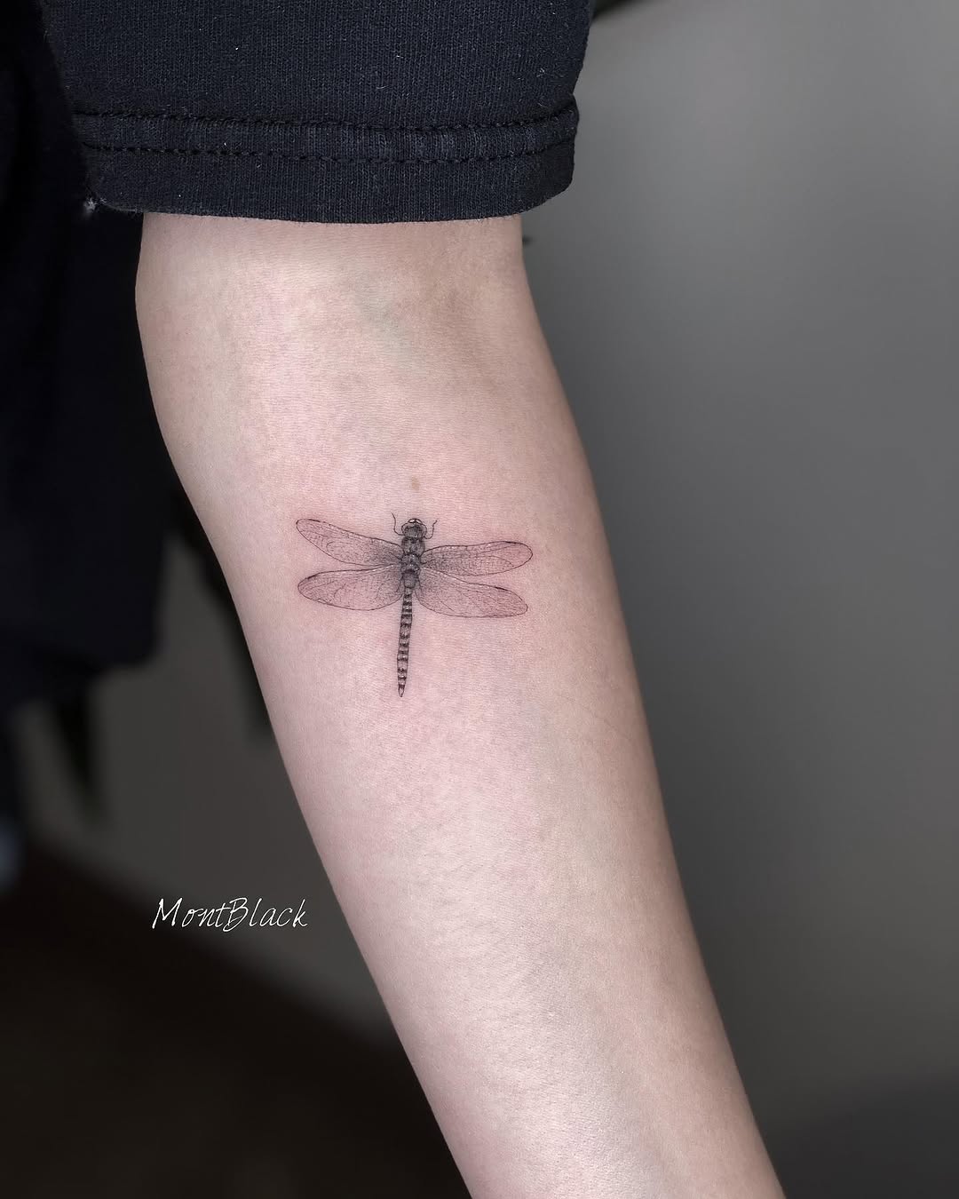 Nature, Animal, 십자가, 십자가상