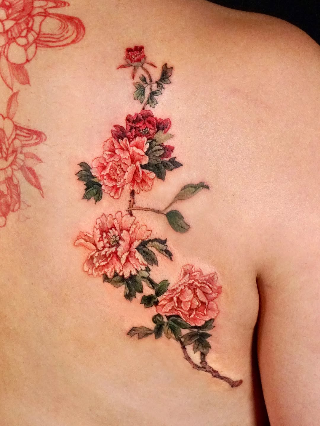 Flower, Rose, Nature