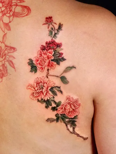 Flower, Rose, Nature