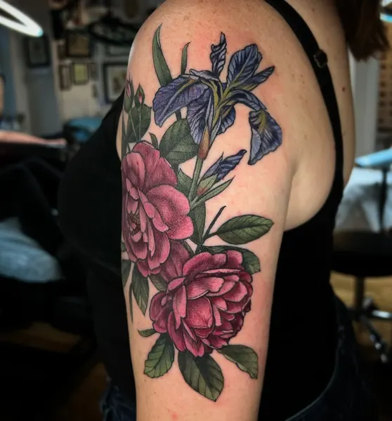 Flower, Rose, Nature