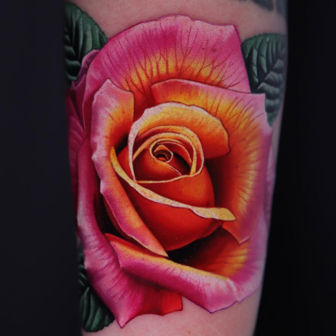 Flower, Rose