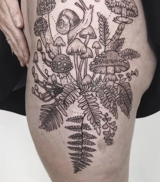 Animal, Nature