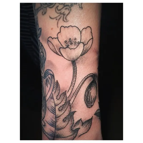 Flower, Rose