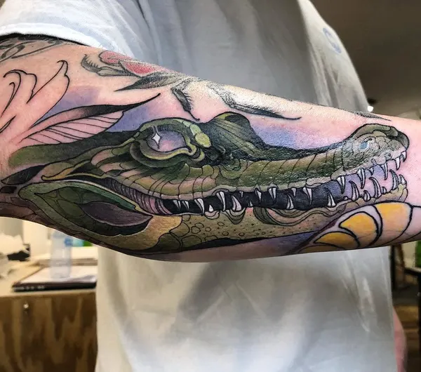 Dragon, 악어