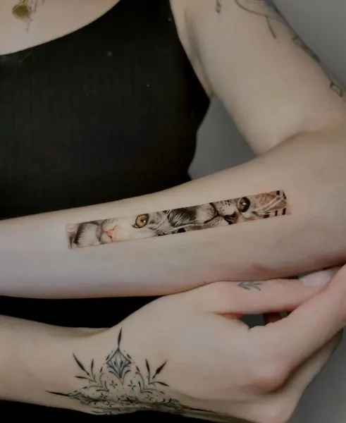 너구리, 다람쥐, 여우 가면, Animal
