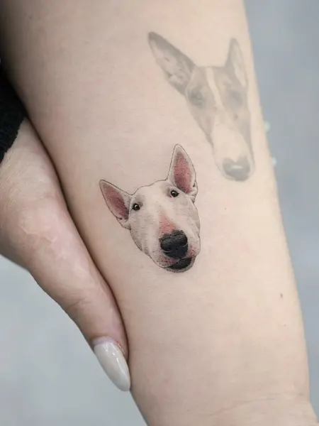 돼지, 함사, 강아지, 반려동물, Animal, 텐구