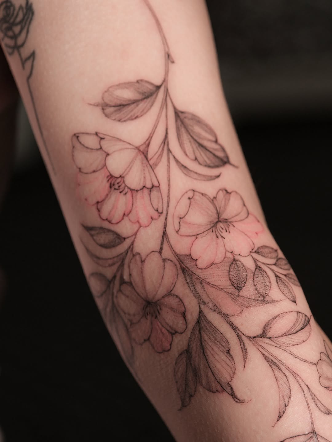 Flower, Rose