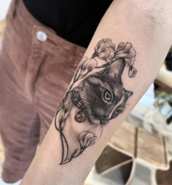 Animal