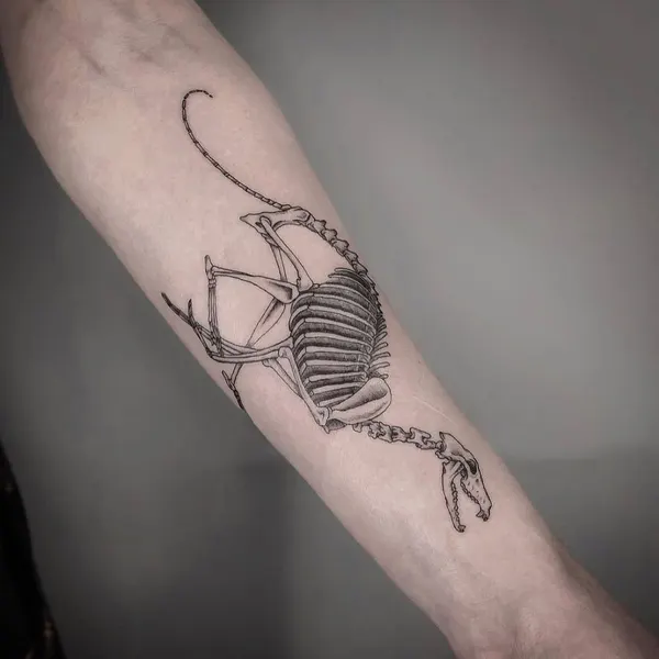 Dragon, 해골