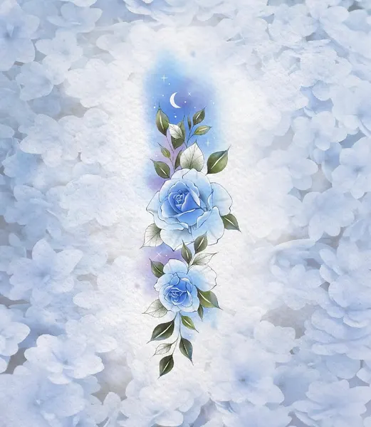 Flower, Nature, Rose