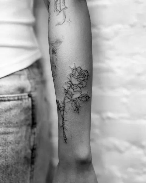 Flower, Rose