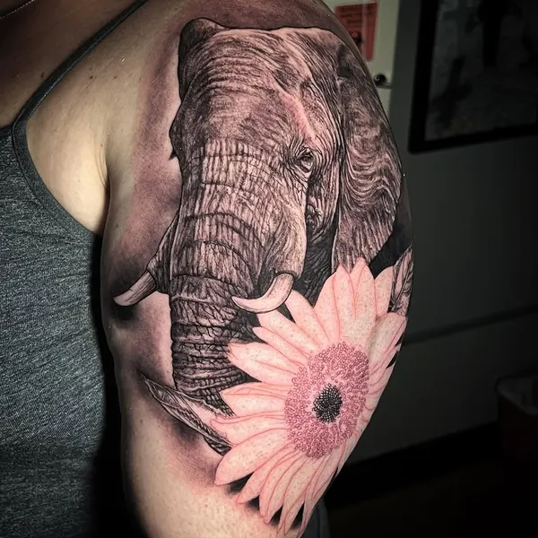 Flower, 코끼리