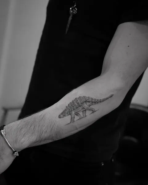 Dragon, 악어, 거북이, 도마뱀, 바다거북