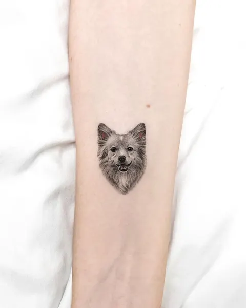 여우, 충성, 강아지, 너구리, 반려동물, 텐구, 다람쥐, 코알라, Animal