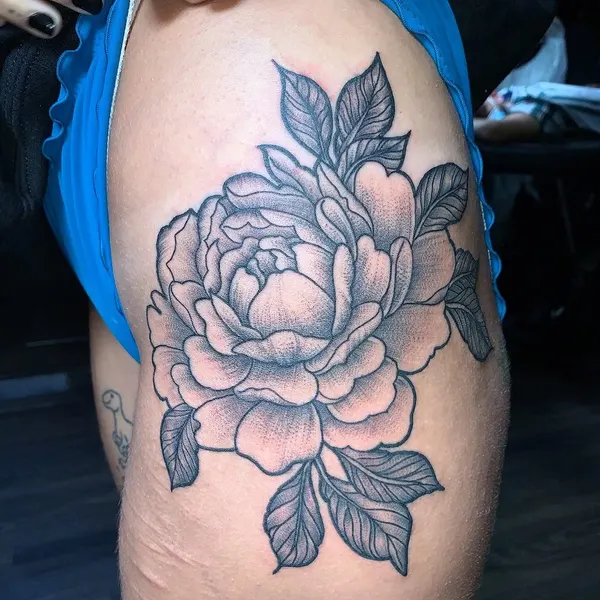 Flower, Rose, Nature