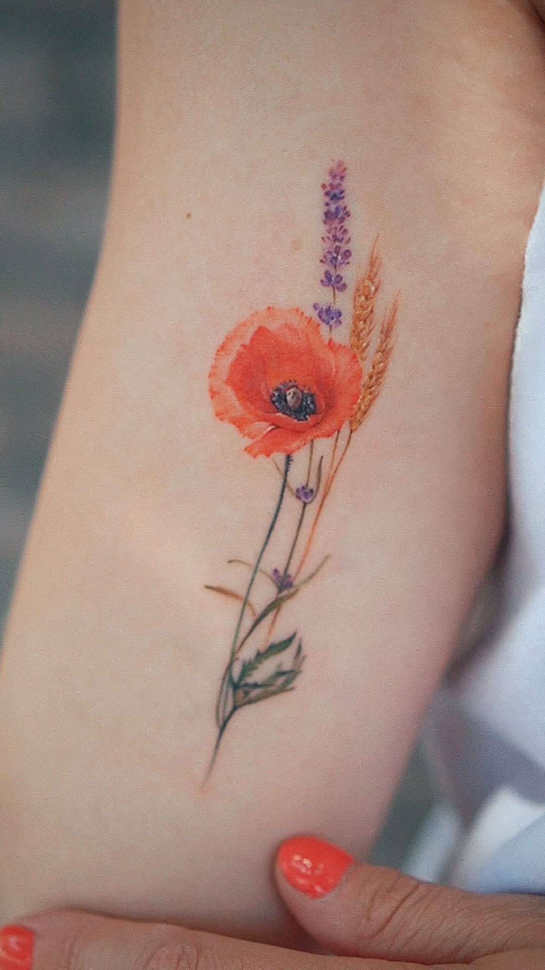 Flower, Rose, 양귀비