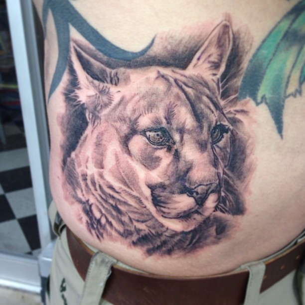 Tiger
