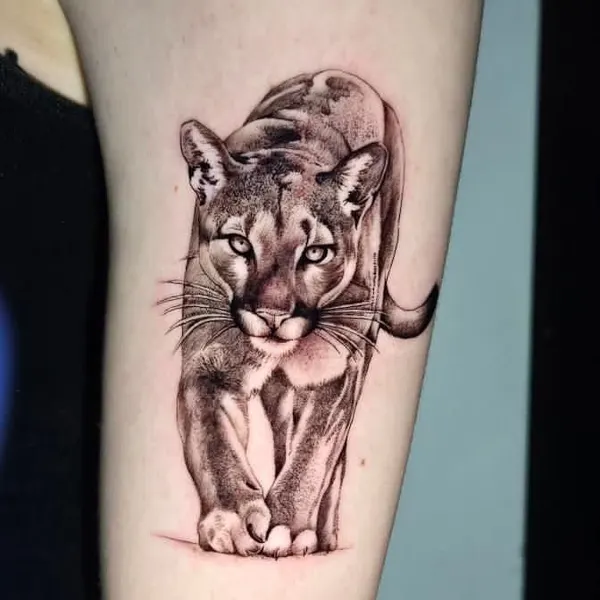 Tiger, 치타, 팬서, 표범, 사자자리, 재규어, 여우 가면, Animal