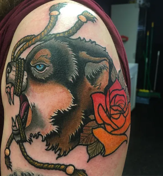 Animal, Tiger