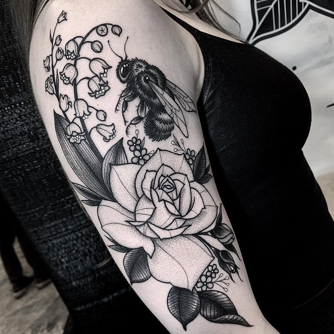Flower, Rose, Nature