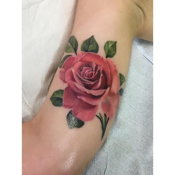 Flower, Rose