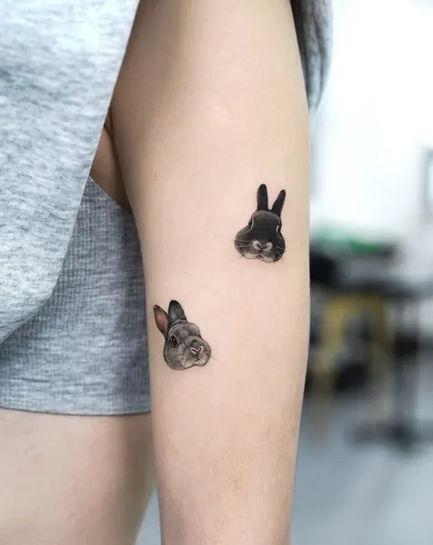 Animal, 토끼