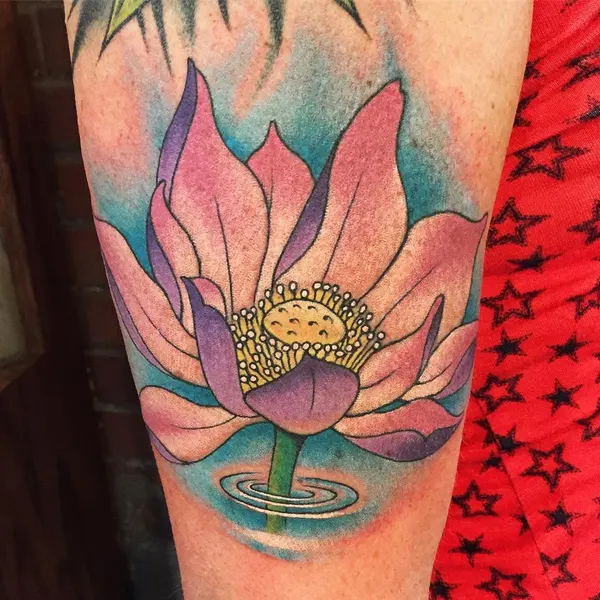 Flower, 연꽃