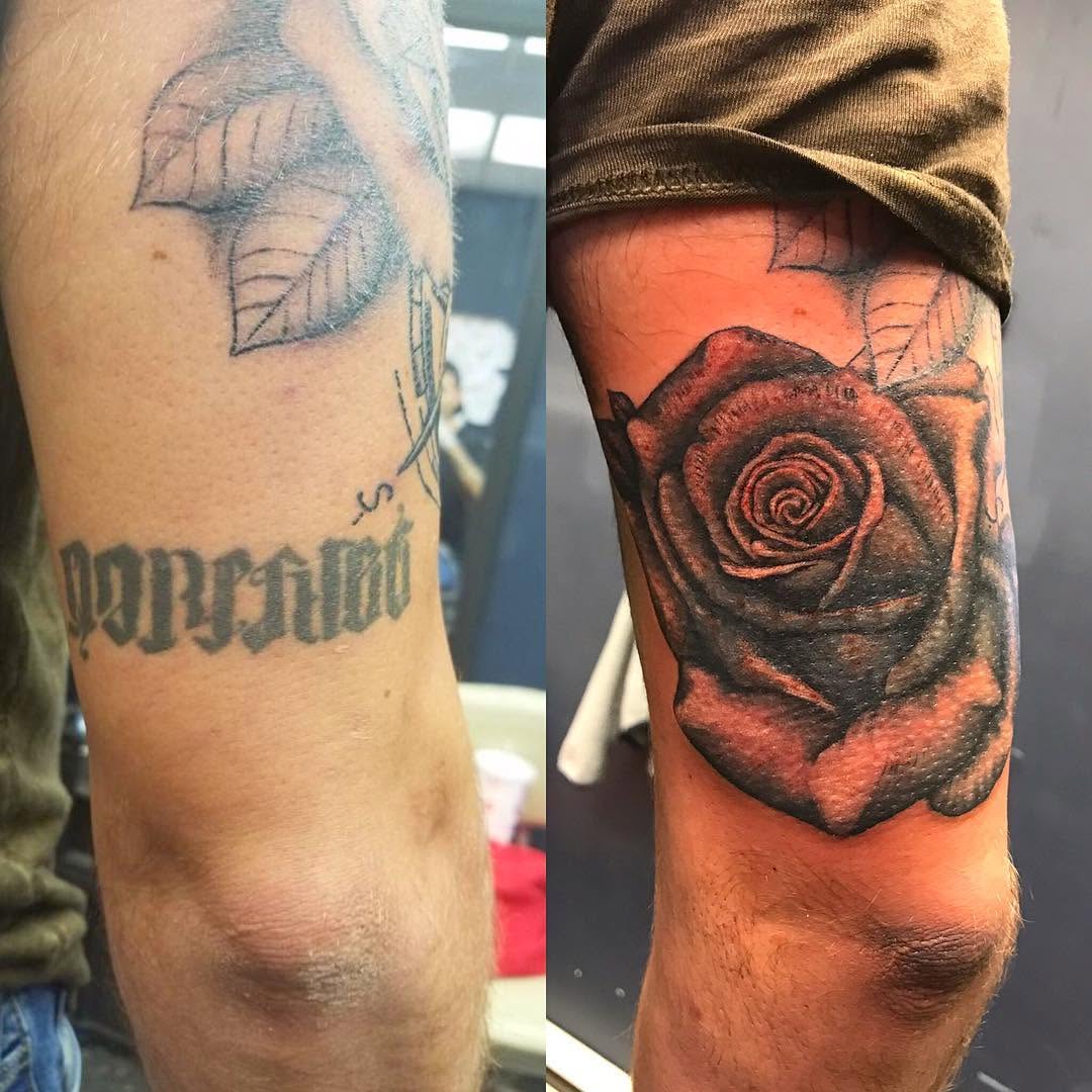 Flower, Rose