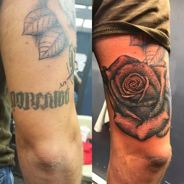 Flower, Rose