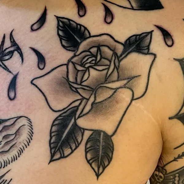 Flower, Rose, Nature