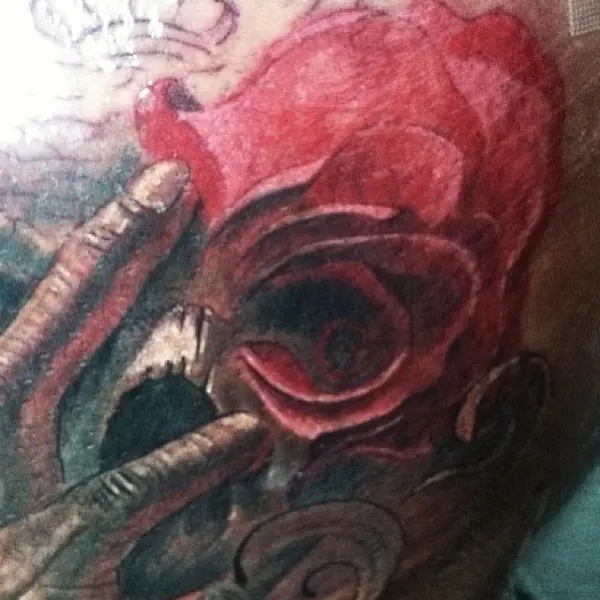 Flower, Rose