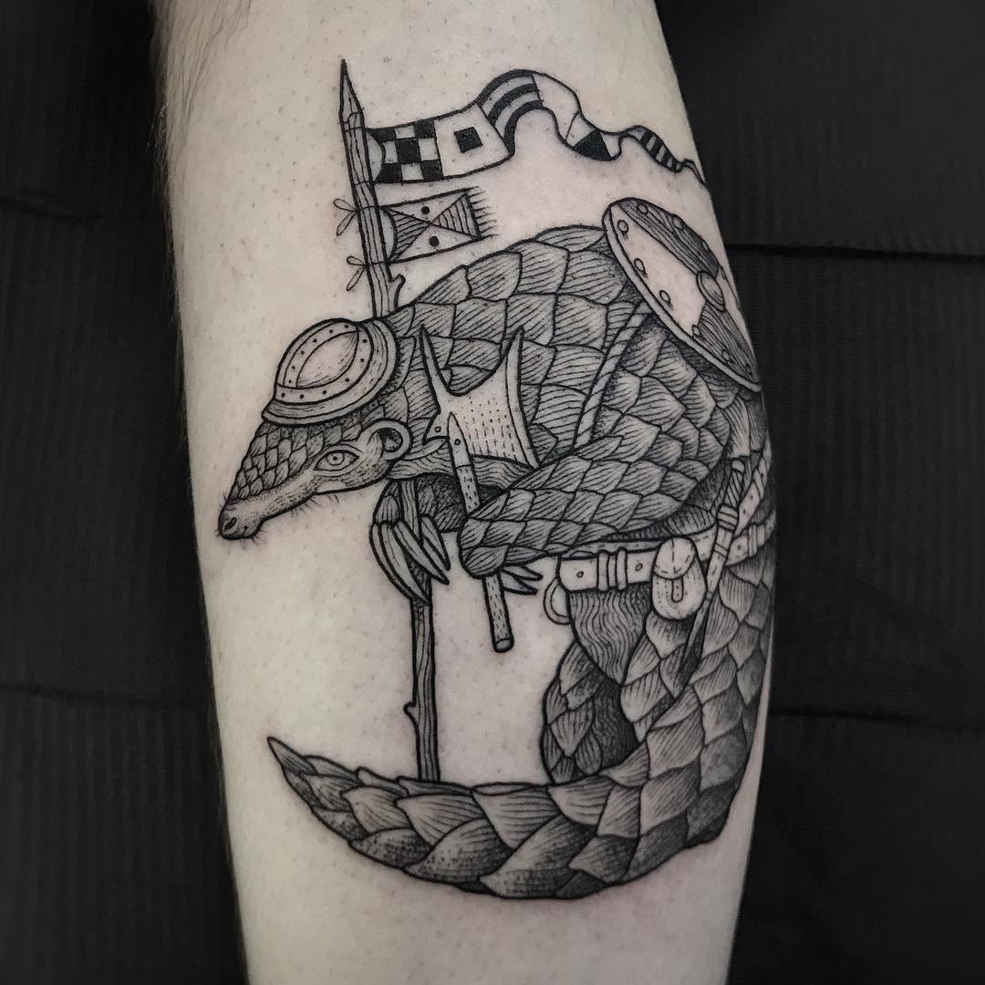 Dragon, 기사