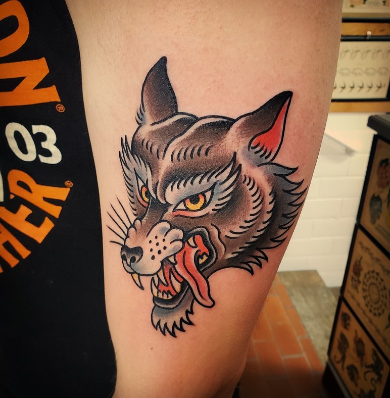 Tiger, Animal