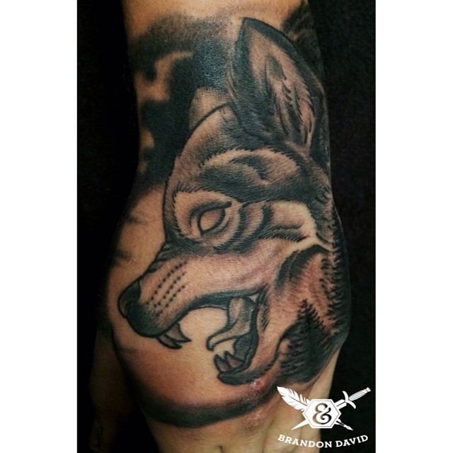 Animal