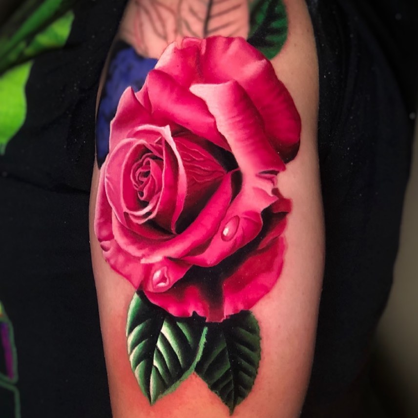 Flower, Rose