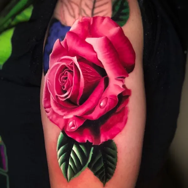 Flower, Rose